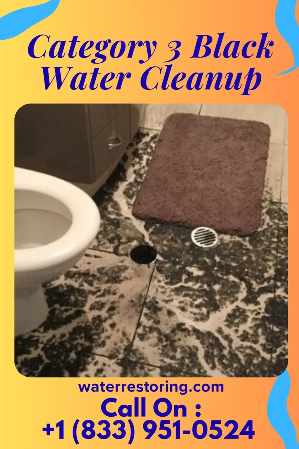 Category 3 Black Water Cleanup in Atoka, TN