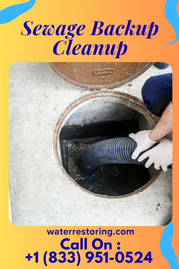 Sewage Backup Cleanup in Atoka, TN
