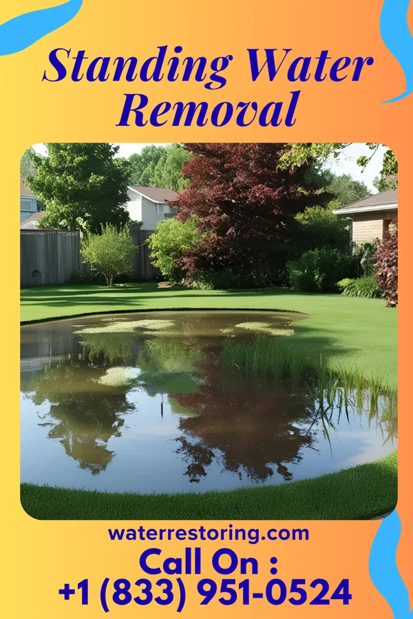 Standing Water Removal in Atoka, TN